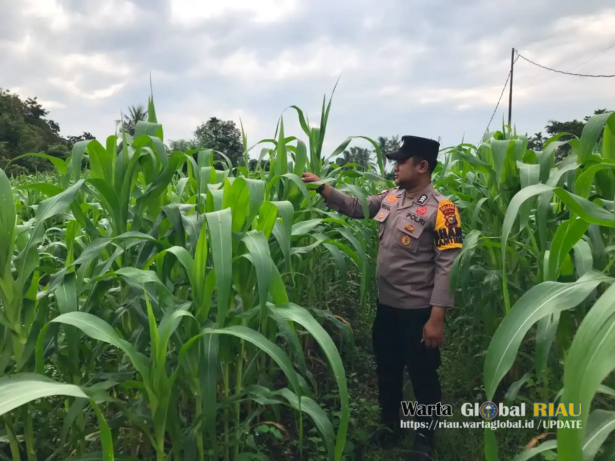 Polsek Tebingtinggi Barat Lakukan Monitoring dan Pembinaan pada Kelompok Tani di Desa Gogok