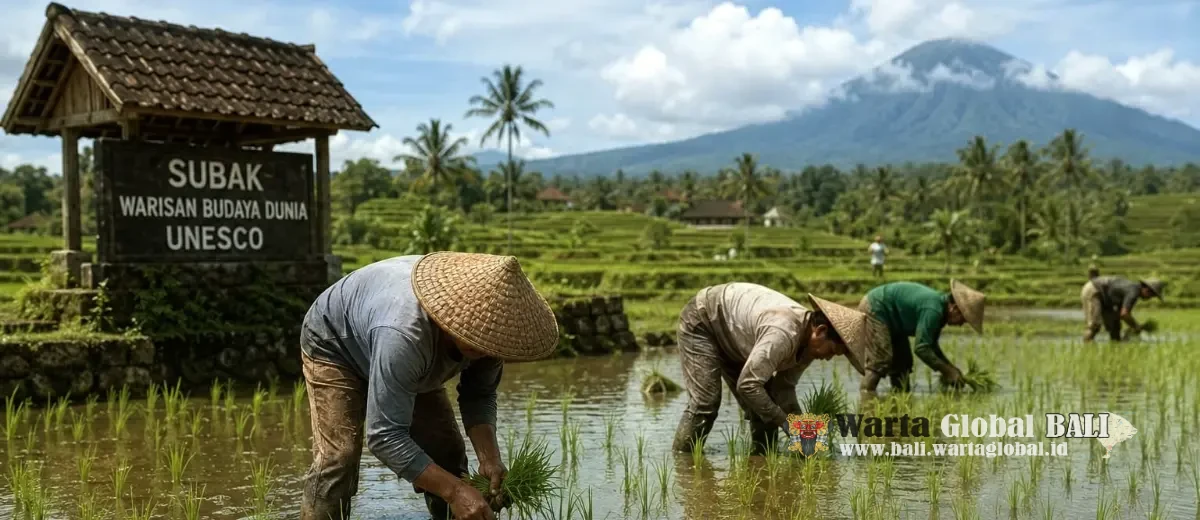 Di Balik Gemerlap Pariwisata, Petani Bali Terus Berjuang Menjaga Pangan dan Warisan Budaya